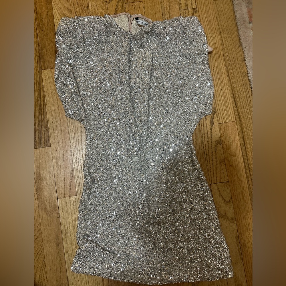 Silver Sequin Dress